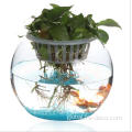 Fish Bowl Clear custom large clear glass fish bowl Manufactory